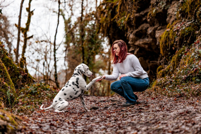Una WEB 7 - Animalier,Canin,Félin,Equin,Cheval