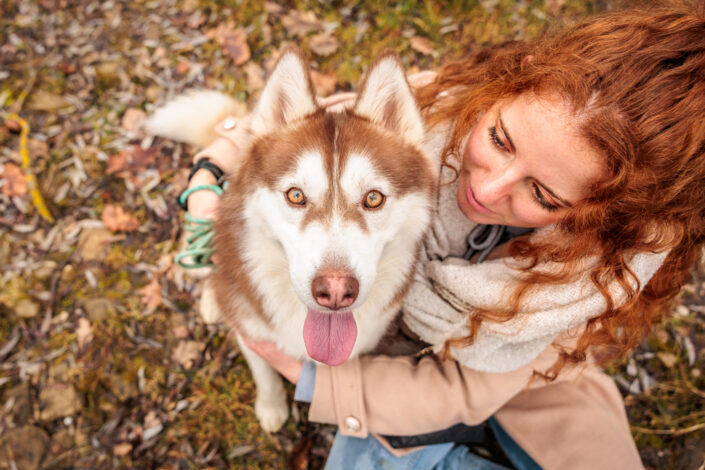 sarahsteven 5 - Animalier,Canin,Félin,Equin,Cheval